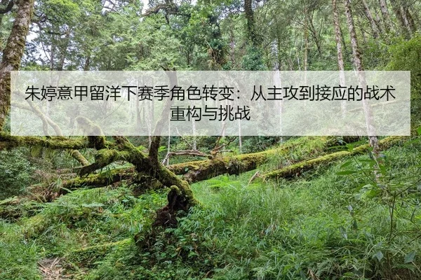 朱婷意甲留洋下赛季角色转变：从主攻到接应的战术重构与挑战