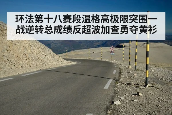 环法第十八赛段温格高极限突围一战逆转总成绩反超波加查勇夺黄衫